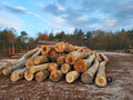 Stammholz Buche – LKW-Lieferung